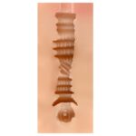 SHEQU - EDITH VAGINA MASTURBATOR - Bild 4