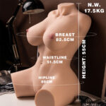XISE - MURIEL FEMALE REALISTIC TORSO WITH THRUSTING 55 CM - Bild 3