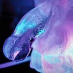PLAY WIV ME - HUGE PENIS ICE LUGE MOLD - Bild 6